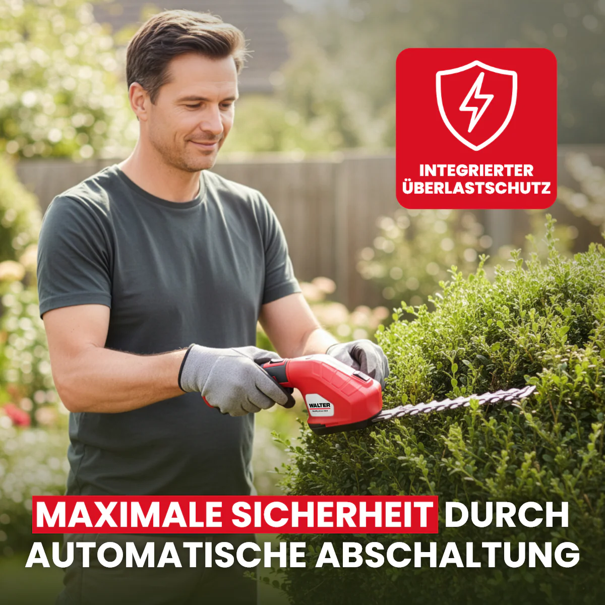 Vorschaubild 9