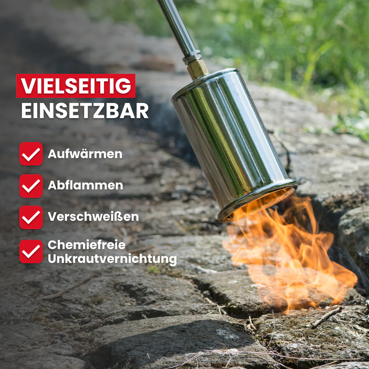 Vorschaubild 7