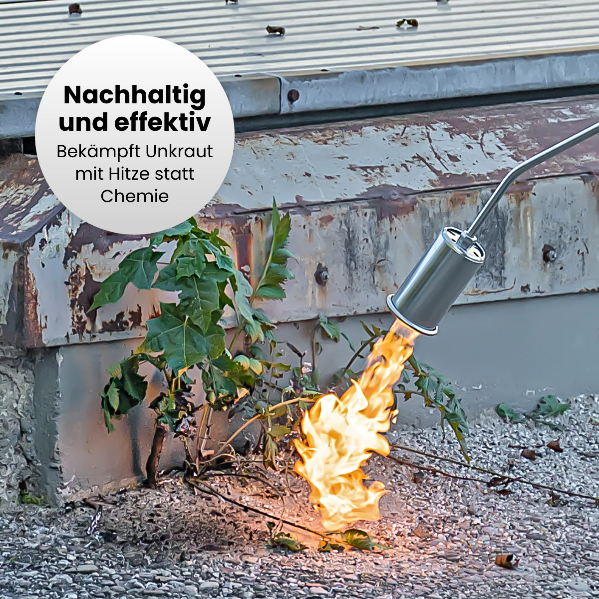 Vorschaubild 8