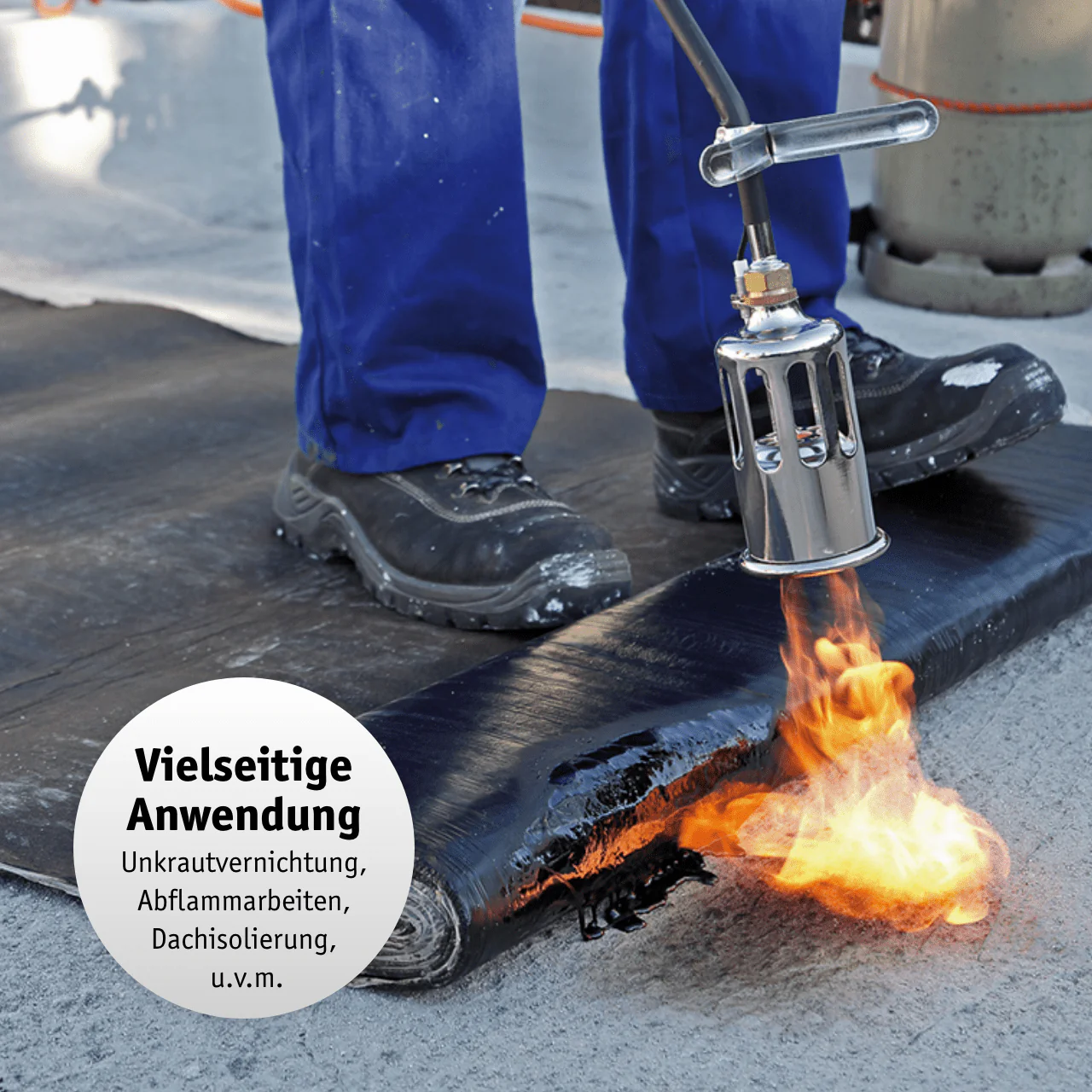Vorschaubild 3