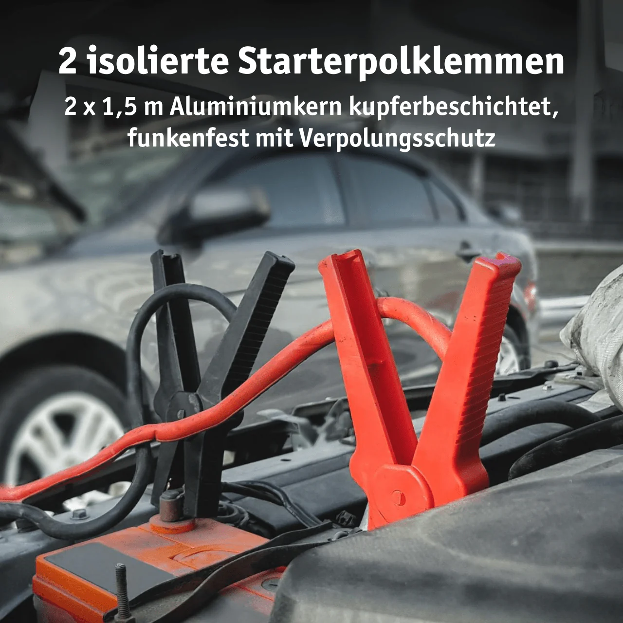 Vorschaubild 7