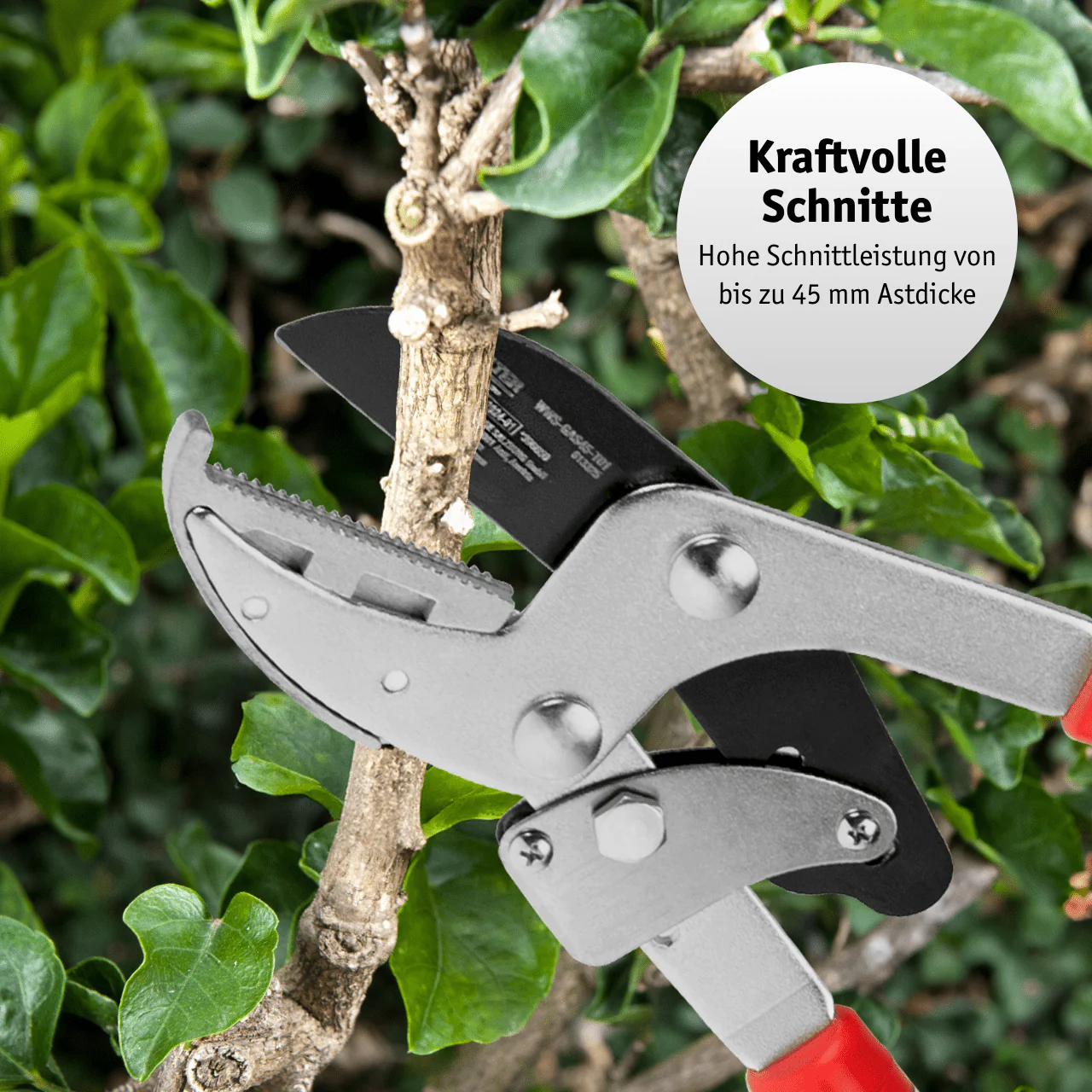Vorschaubild 4