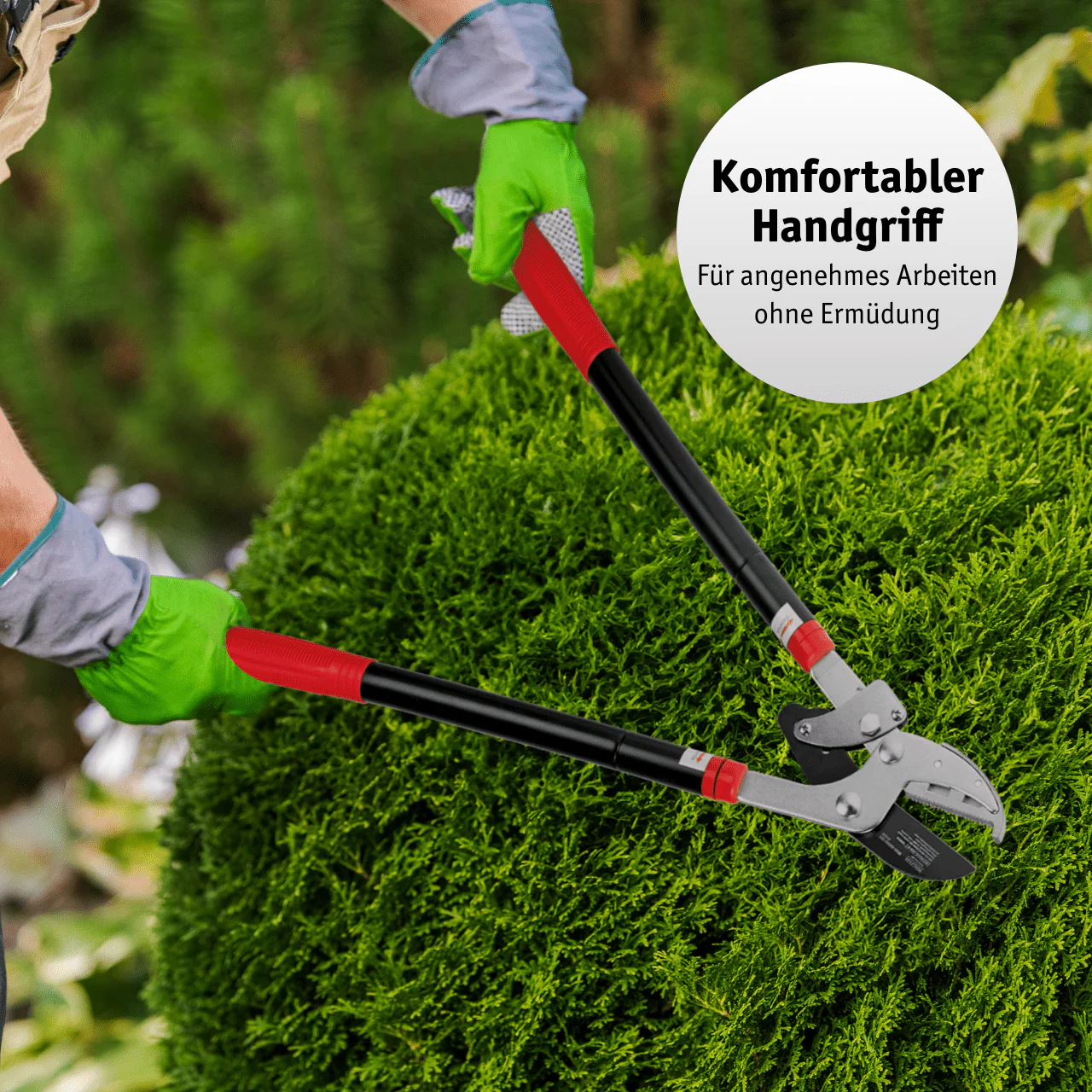 Vorschaubild 6