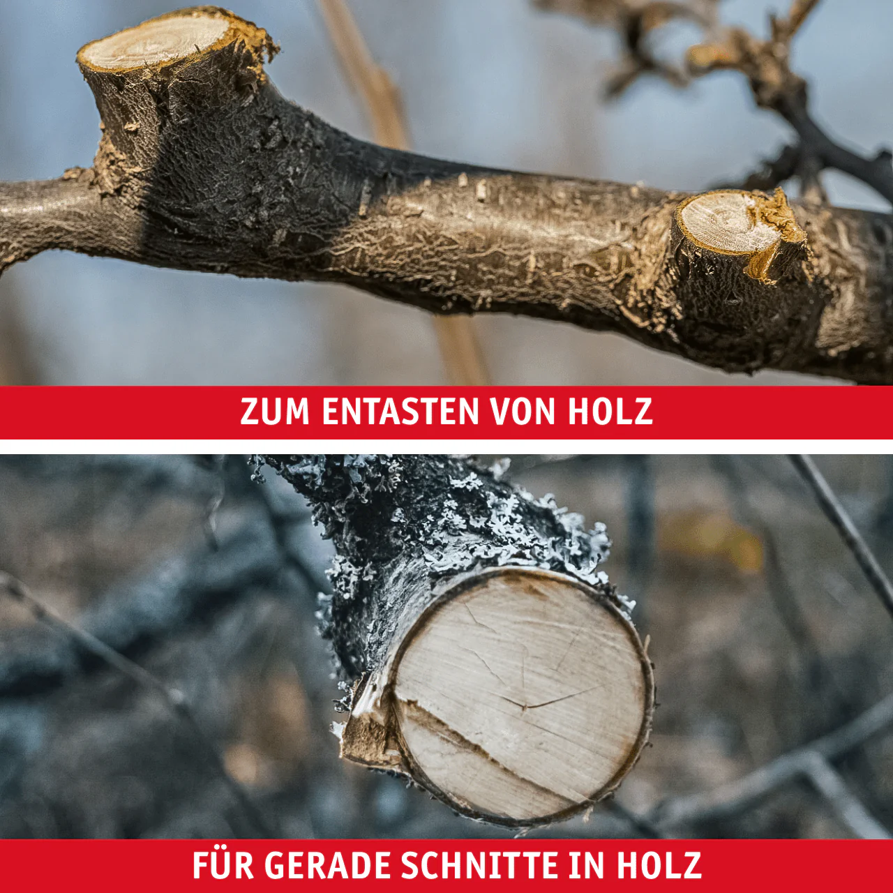 Vorschaubild 10