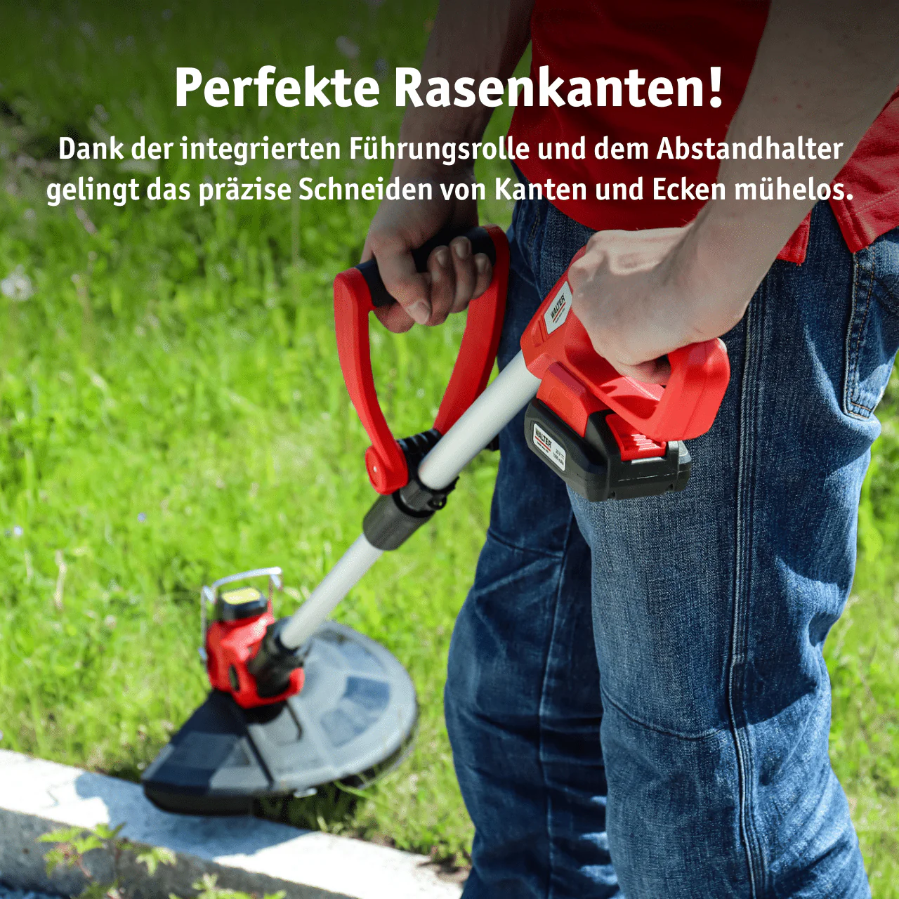 Vorschaubild 4