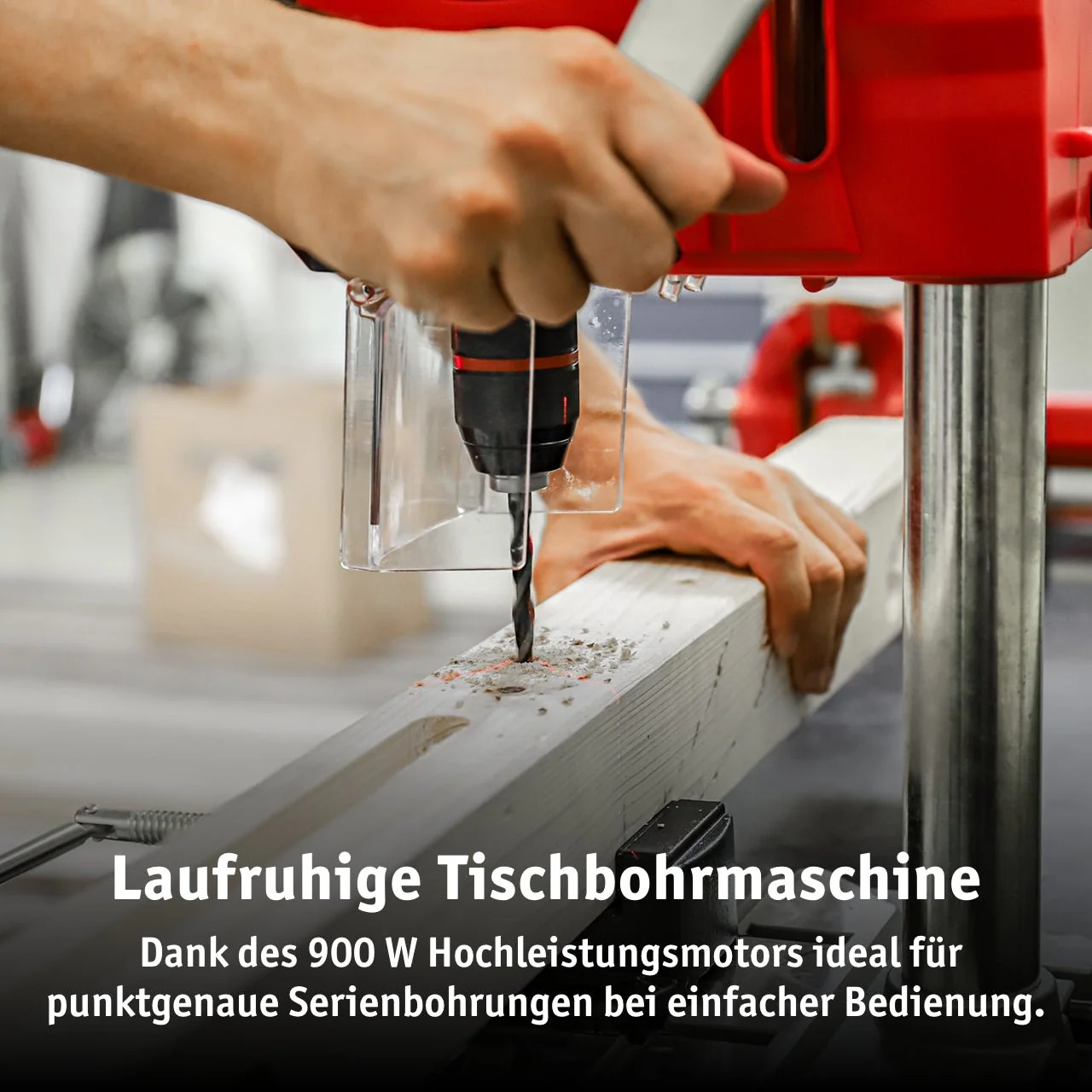 Vorschaubild 5