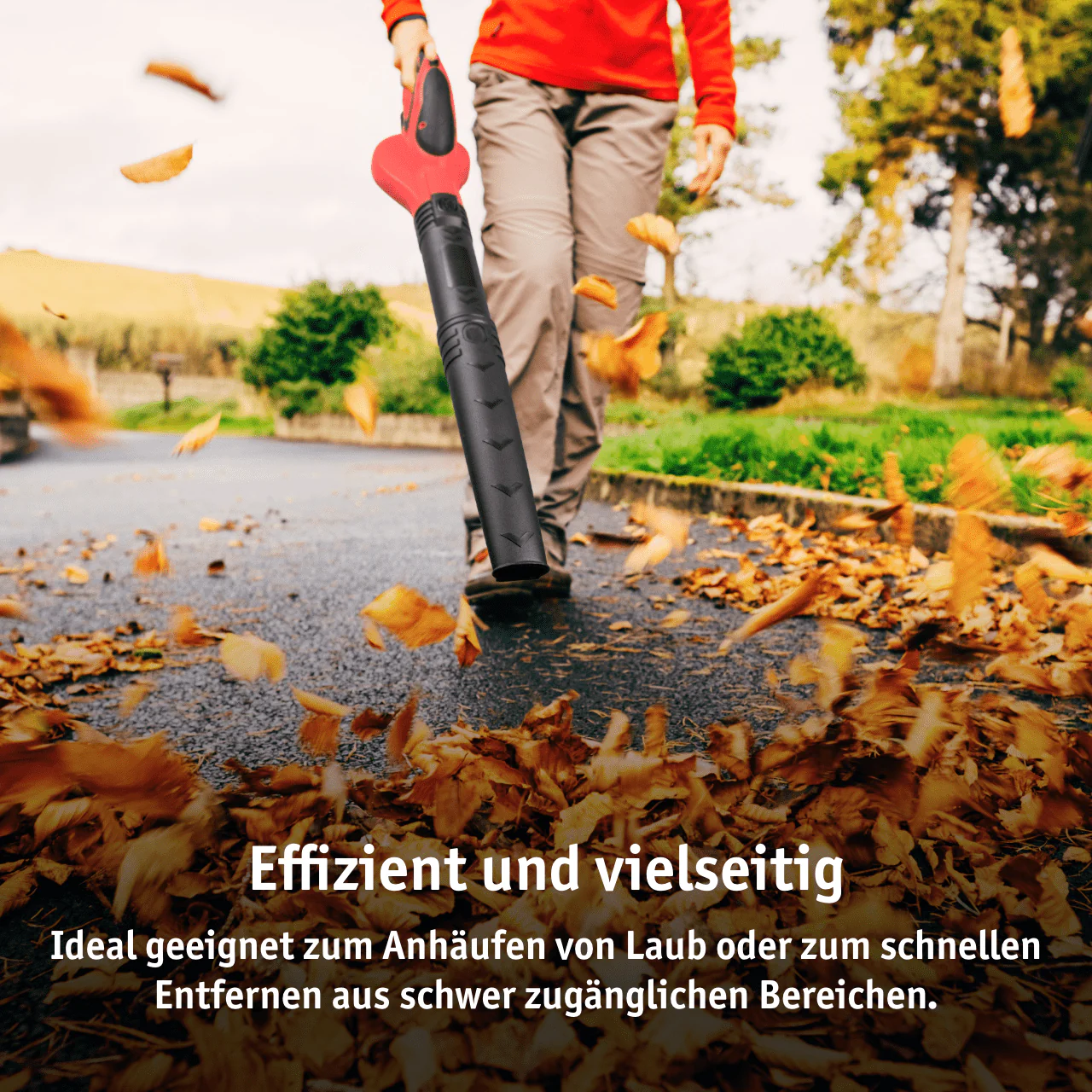 Vorschaubild 6